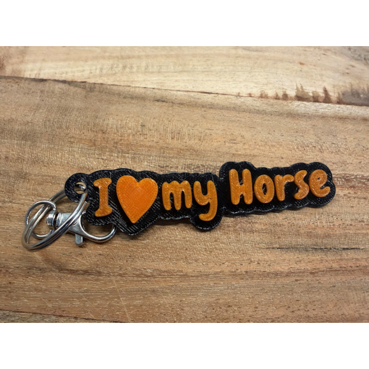 I love my horse oranje
